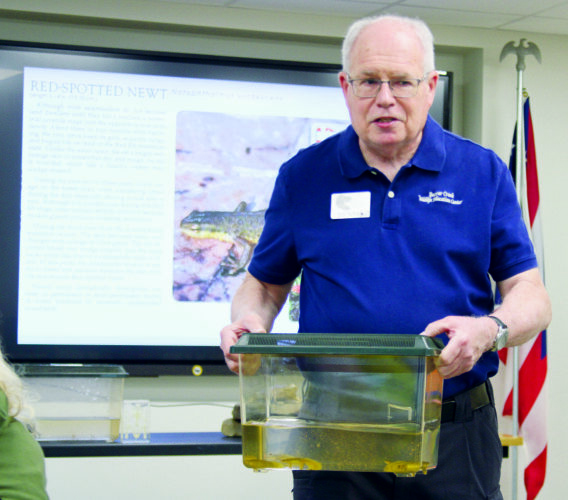 Salem Public Library hosts amphibious friends